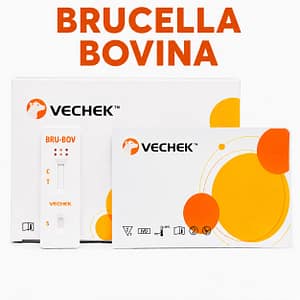 VECHEK BRUCELLA bovina