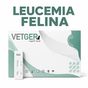 VETGER LEUCEMIA felina