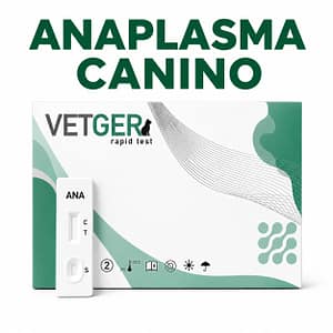 VETGER ANAPLASMA canino