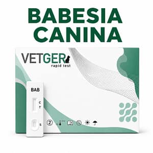 VETGER BABESIA canina