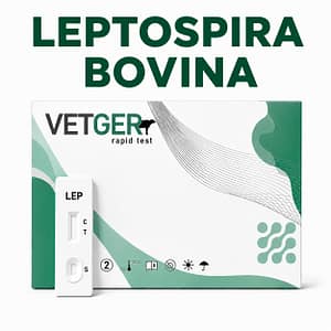 VETGER leptospira Bovina